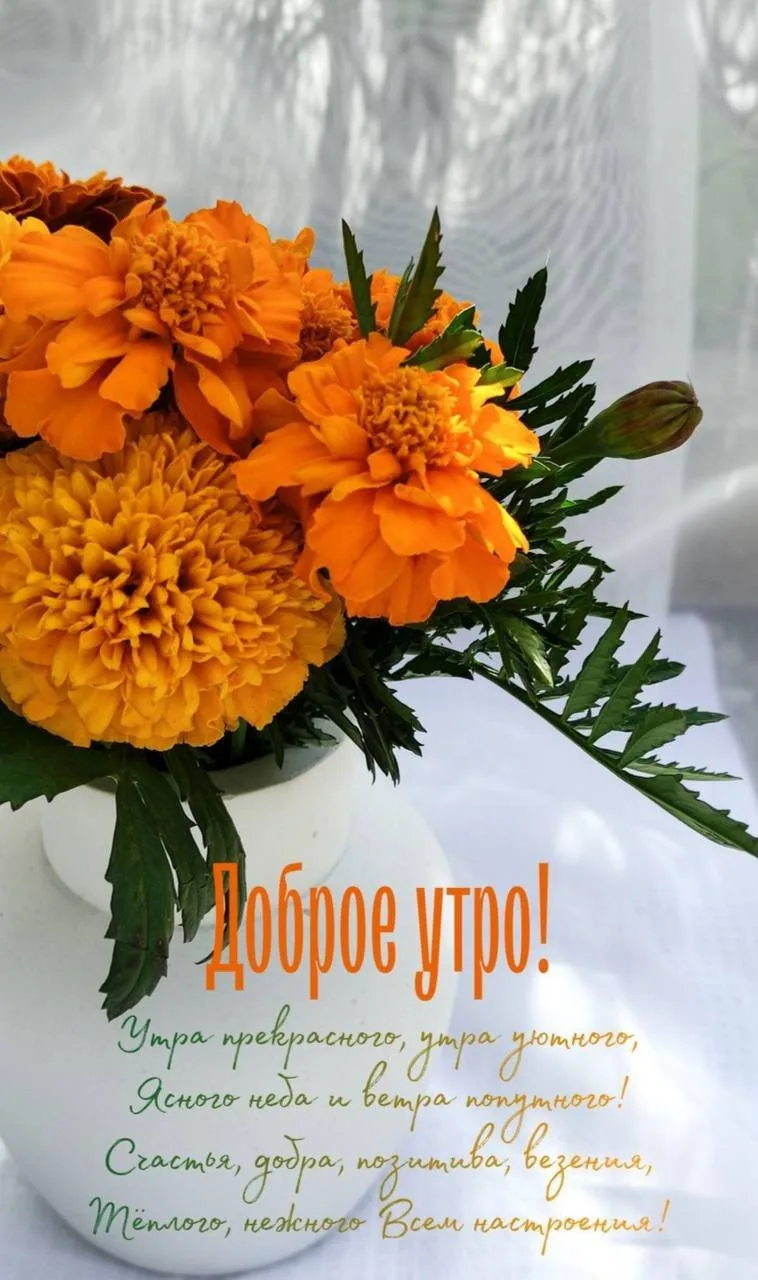 @pozdraf