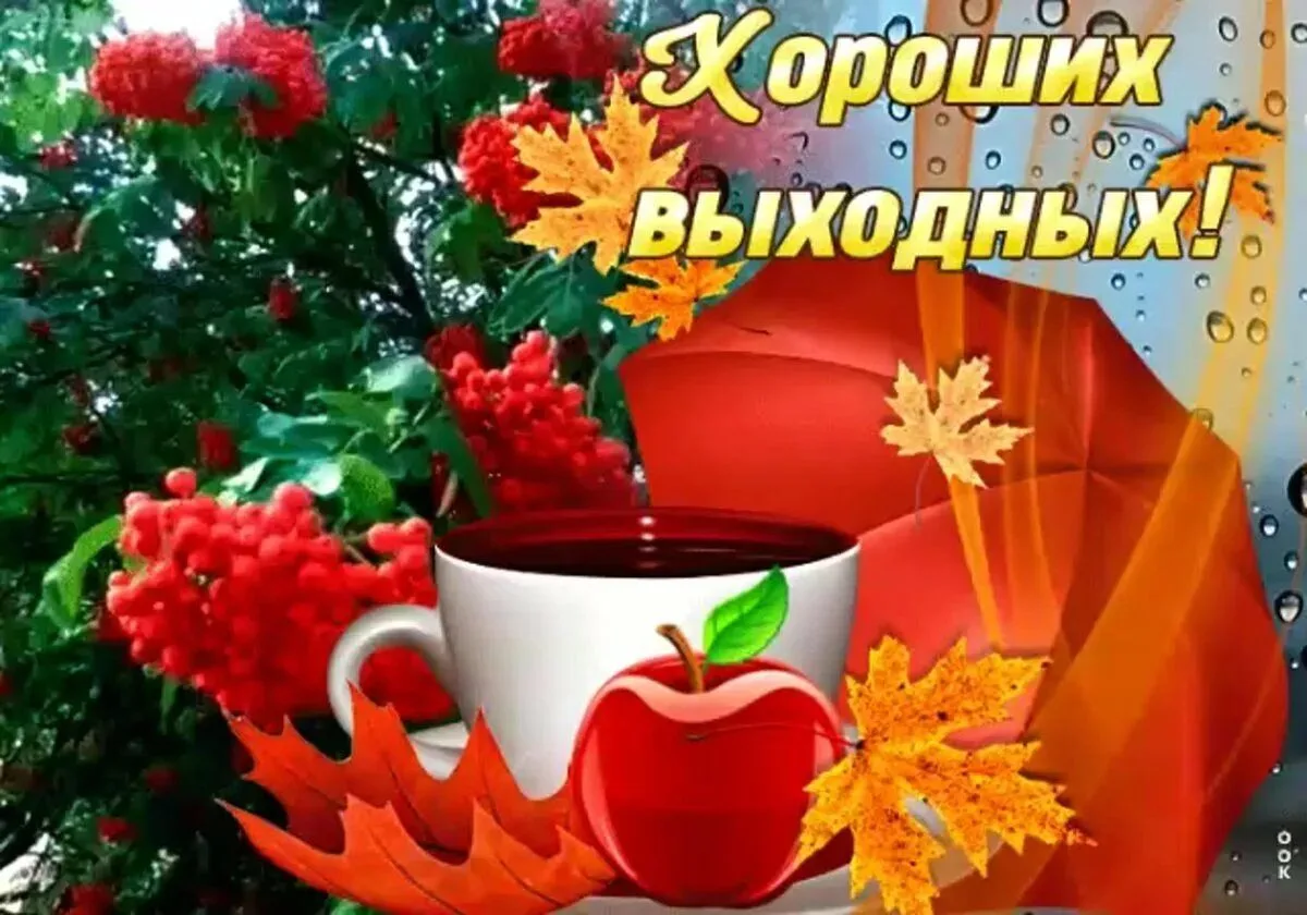 Служба занятости г. о. Докучаевск официально объявляет: рабочая неделя закрыта! Всем хо...
