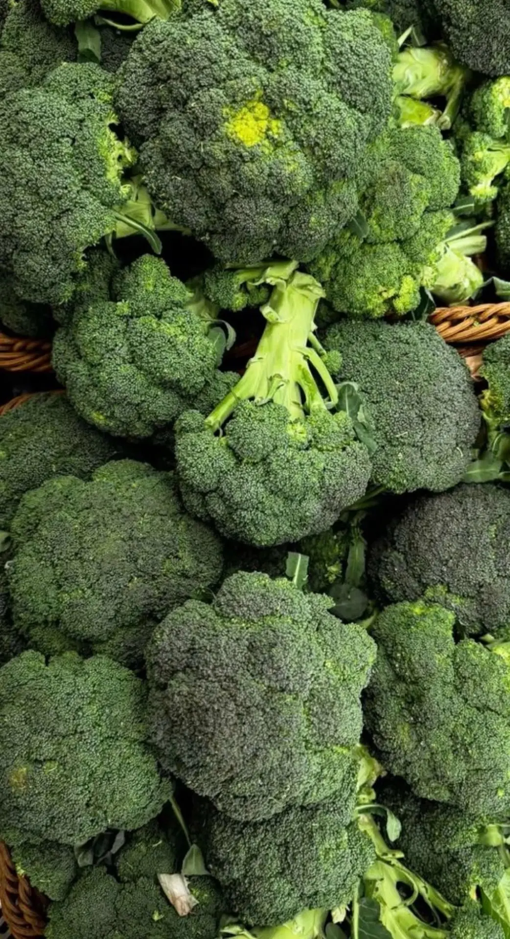 🥦 Брокколи из Оренбурга — 150 ₽/кг