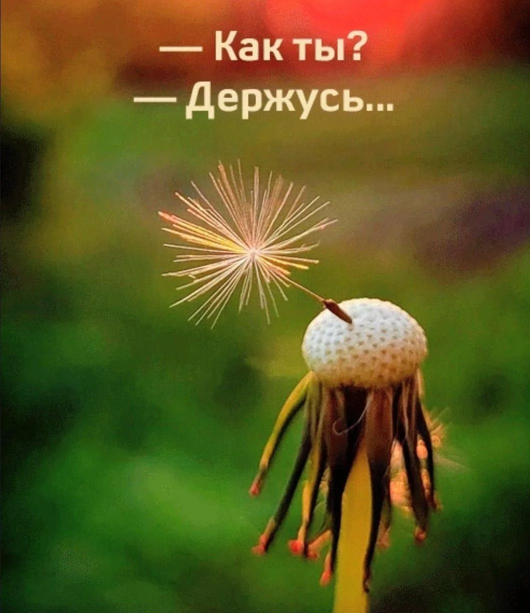 Держимся!