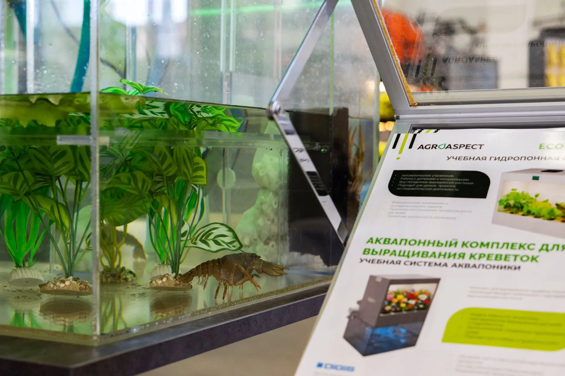 Делегация из Приангарья принимает участие в работе Российской агропромышленной выставки...