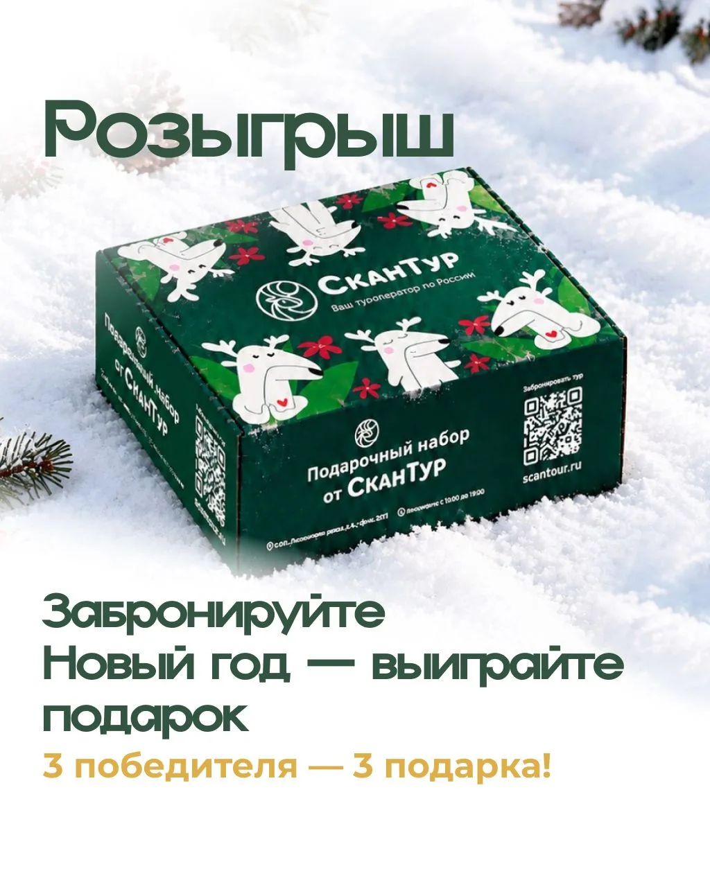 Забронируйте Новый год — выиграйте ещё одно путешествие! 🎁