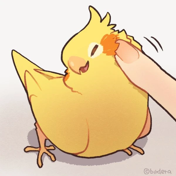 Рисунки попугайчика❤️