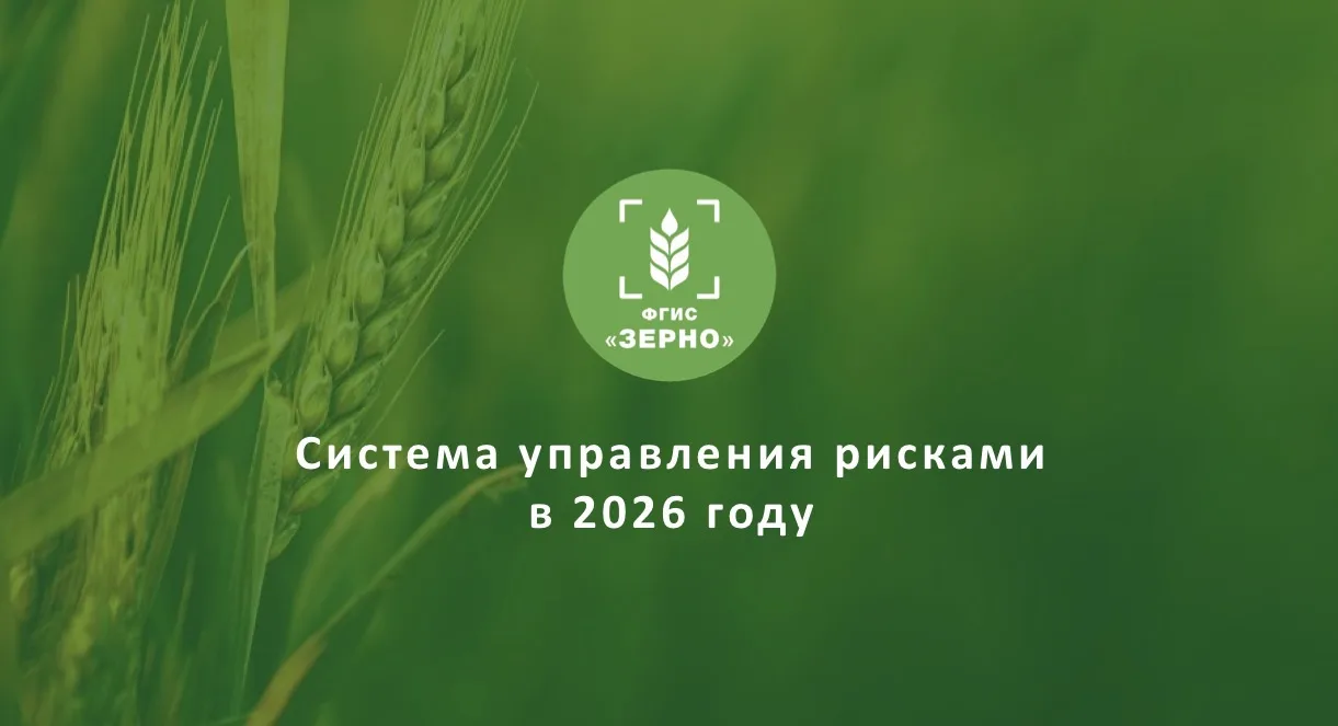 ☀️ Полезные сервисы и векторы развития.