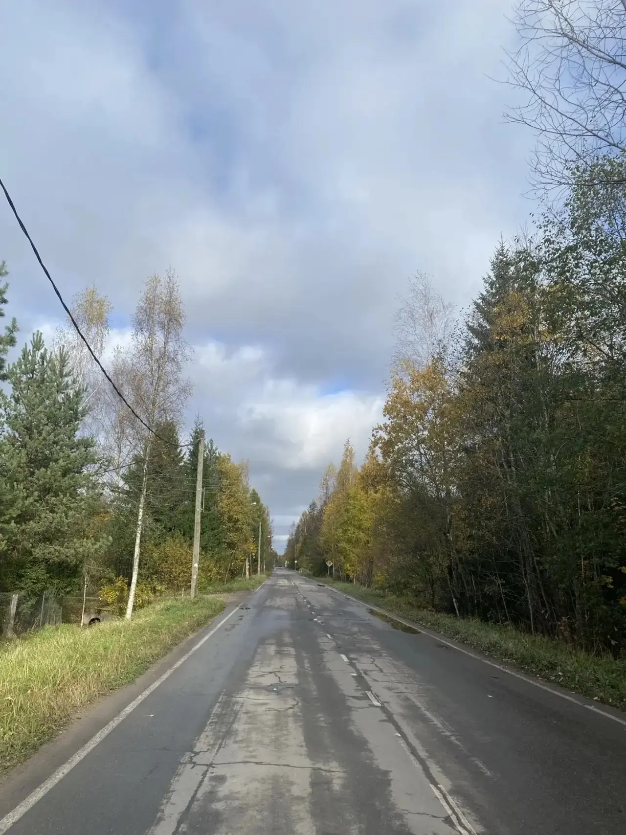 Погода и дорога в поселке Чаща.