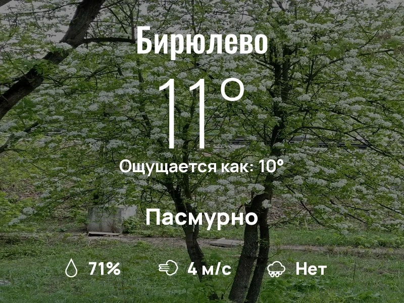 Что с погодой в Бирюлево?