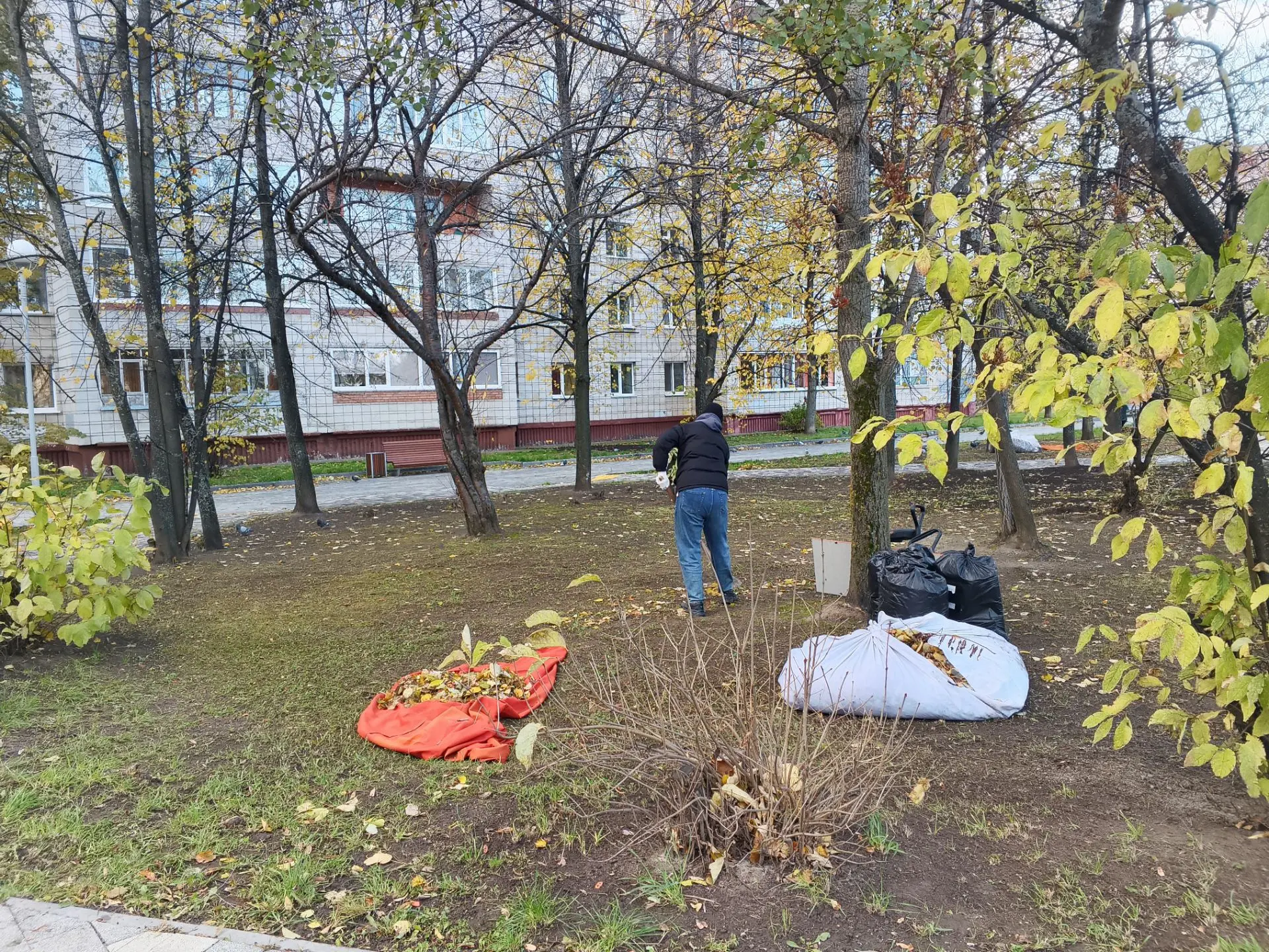 🏨🧹 Сделать город чистым — вместе!