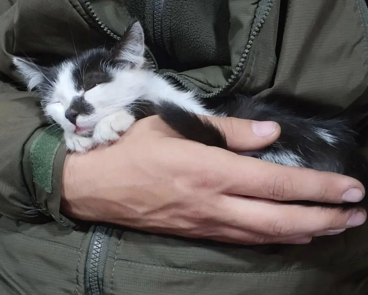 Сейчас нам очень тяжело принимать новых животных. Мы всё равно не можем проходить мимо,...