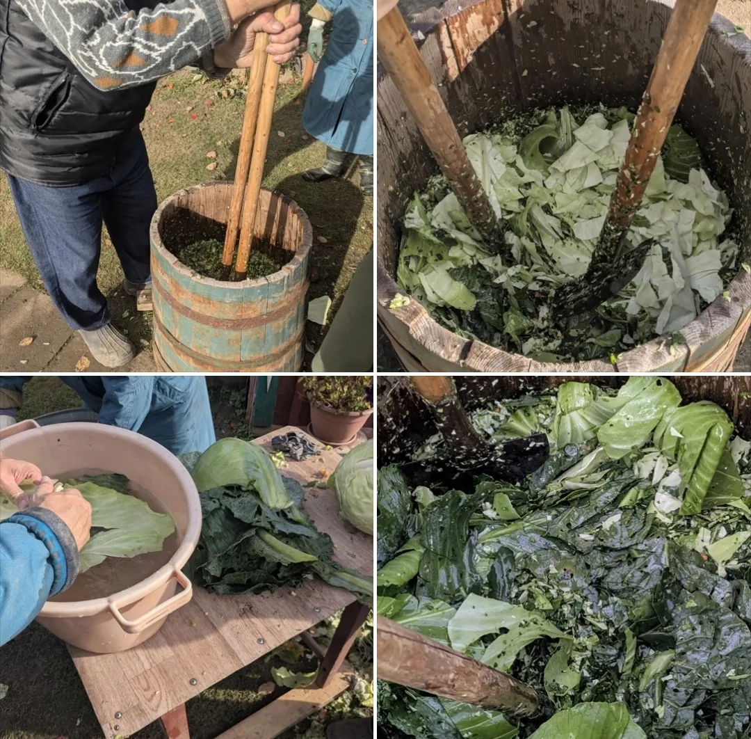 🥬 Под Костромой рубят капусту для традиционных серых щей