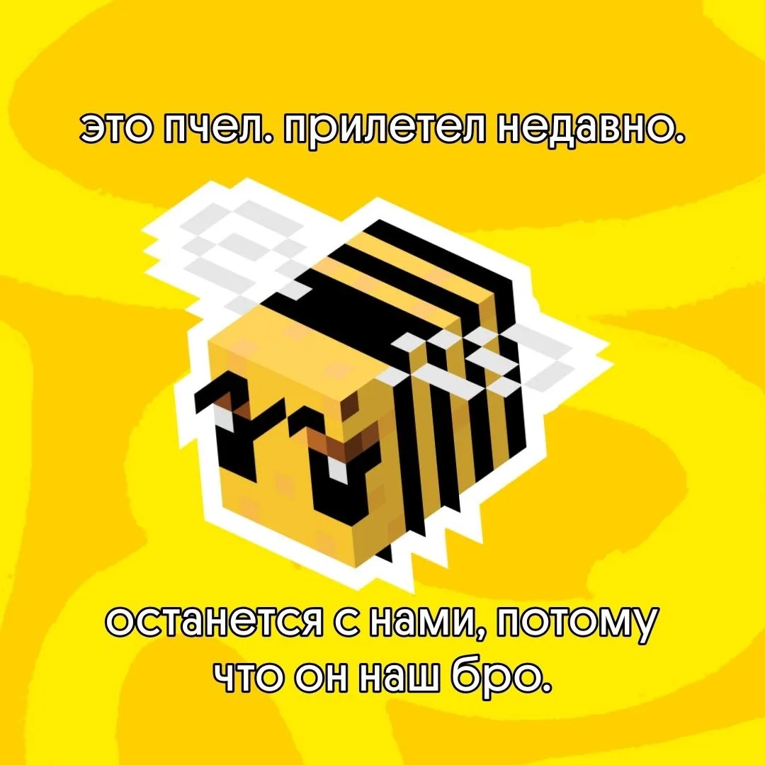 Поздоровайтесь с нашим бро. Не переживайте, он останется у нас и мы за ним присмотрим 💛