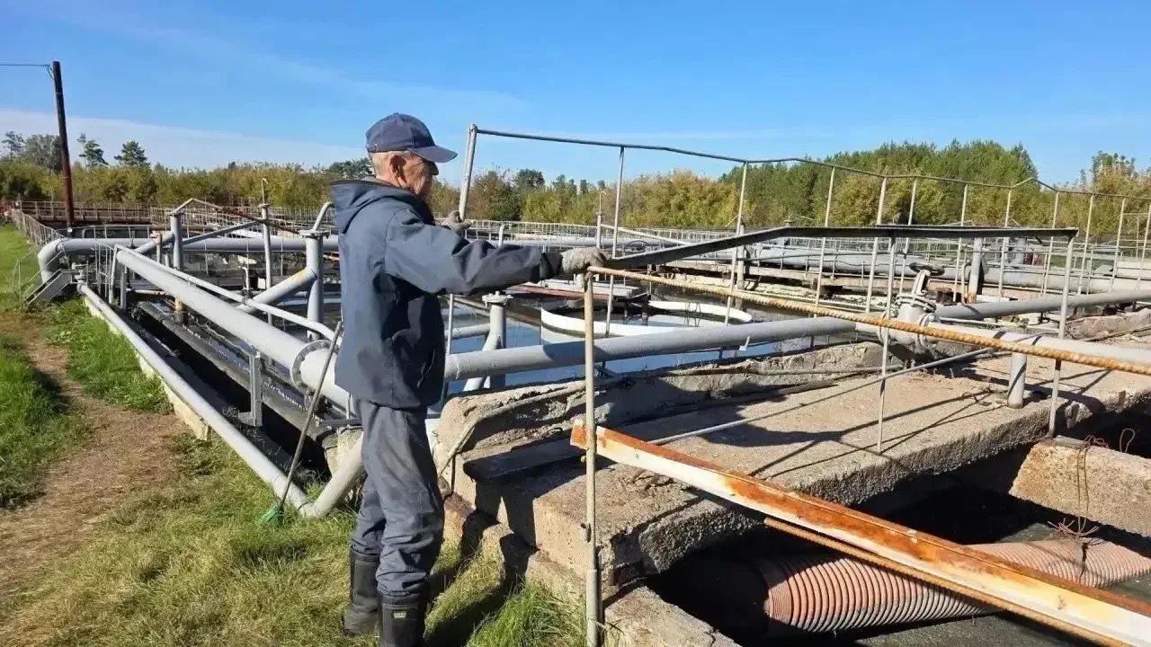 🛠«Руки привыкли к труду»: ветеран СВО нашёл работу за неделю