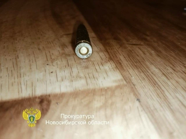 Житель Новосибирской области осужден за хранение найденных патронов