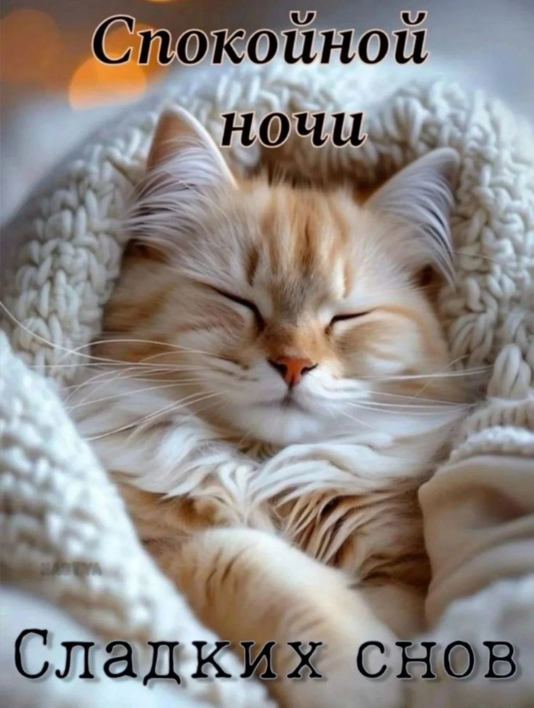 Красивые открытки❤️