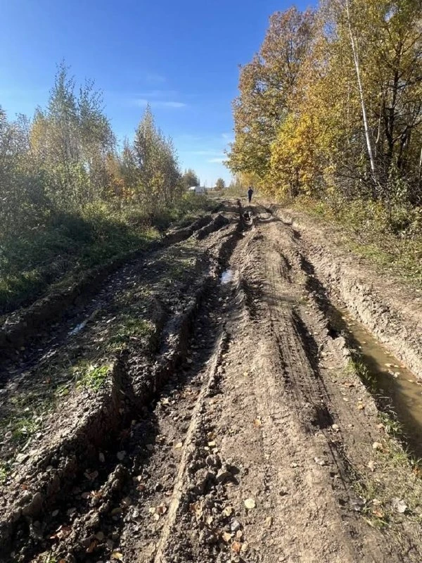 Бывает ходьба спортивная, а бывает - медицинская!
