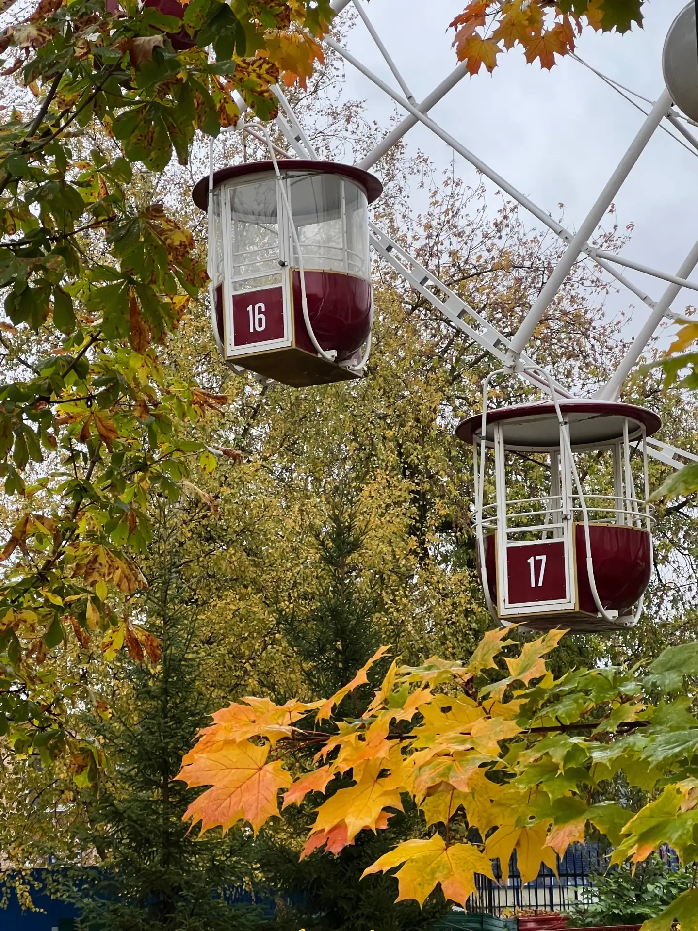 Это похоже на свидание двух кабинок) Осень в парке волшебная 🍁🍂🍁