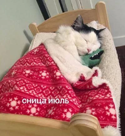 Спокойной ночи😁