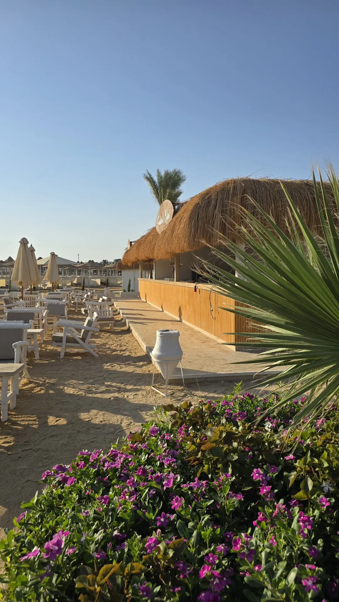 Бюджетная вау-находка в Хургаде Sunrise Azalea Aqua Park Resort 4*
