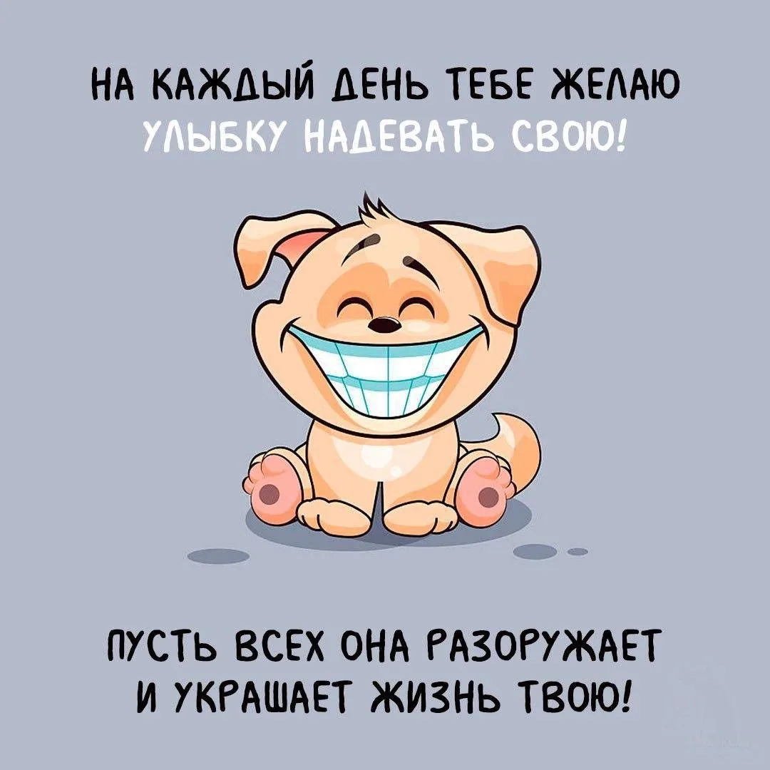 Наши каналы: