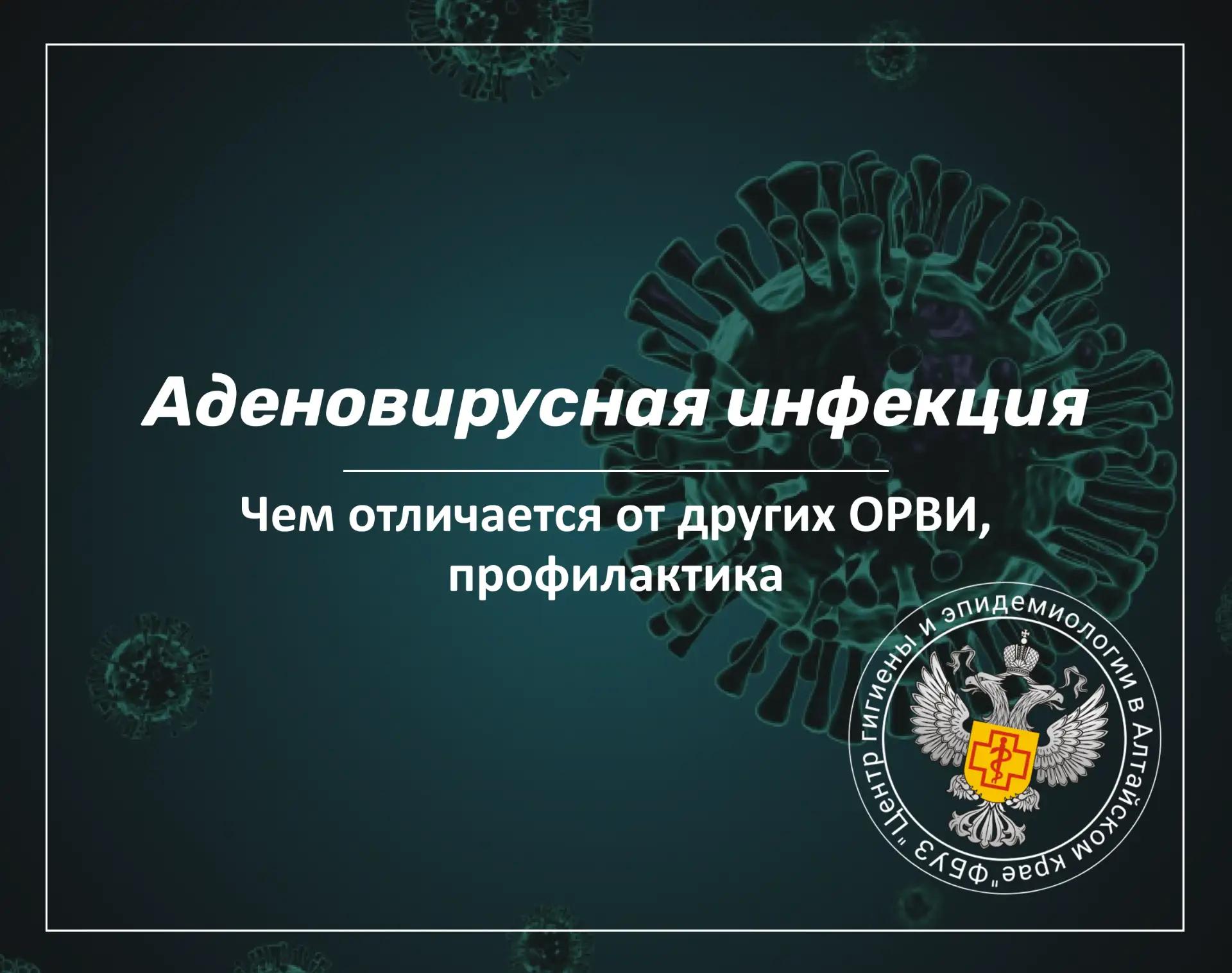 🤧АДЕНОВИРУСНАЯ ИНФЕКЦИЯ🤧