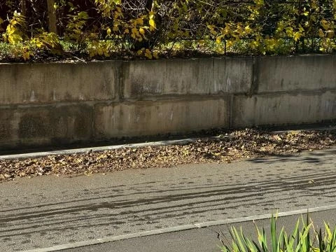 - Улица Землянухина, 10. Приятно наблюдать что была закуплена новая техника по уборке у...