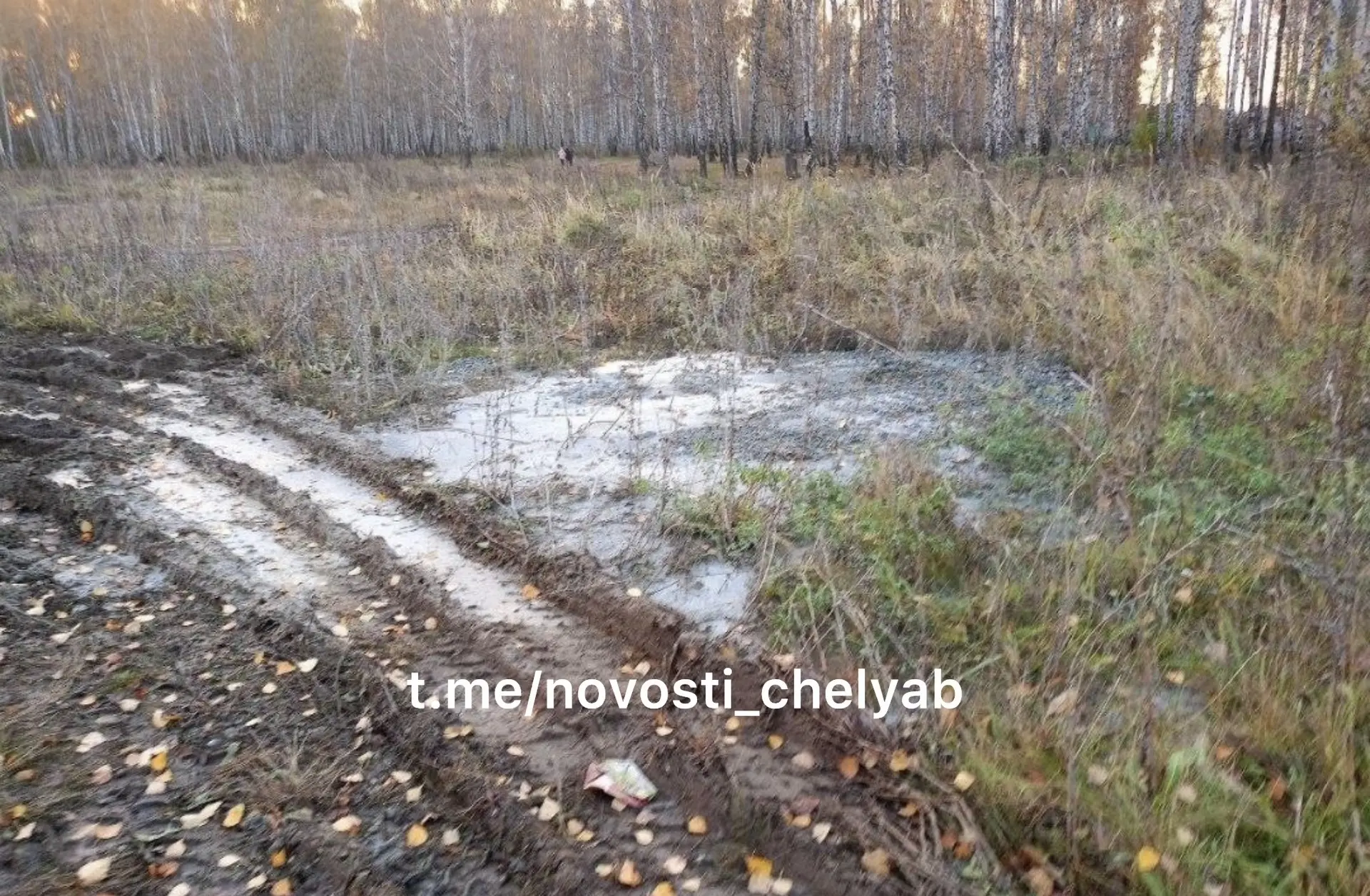 От подписчика: