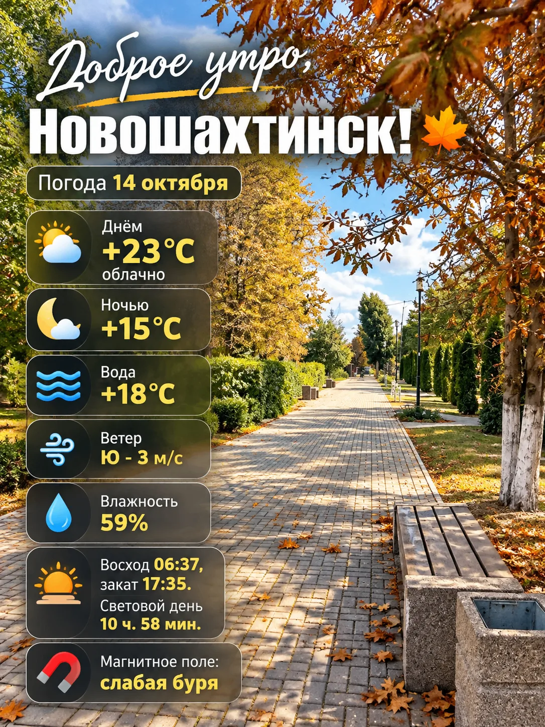 Доброе утро, Новошахтинск! 🍂