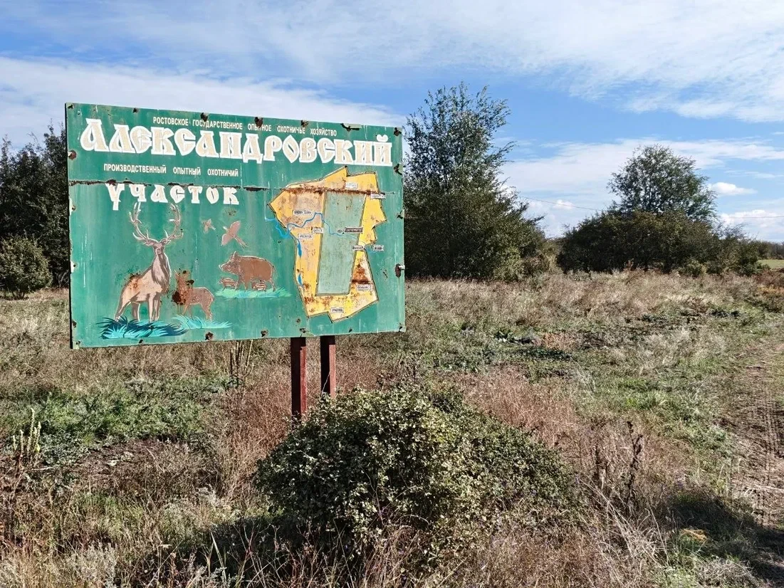 Волки откликаются на голос, шакалы осваивают новые земли, а вековые дубы сохнут.