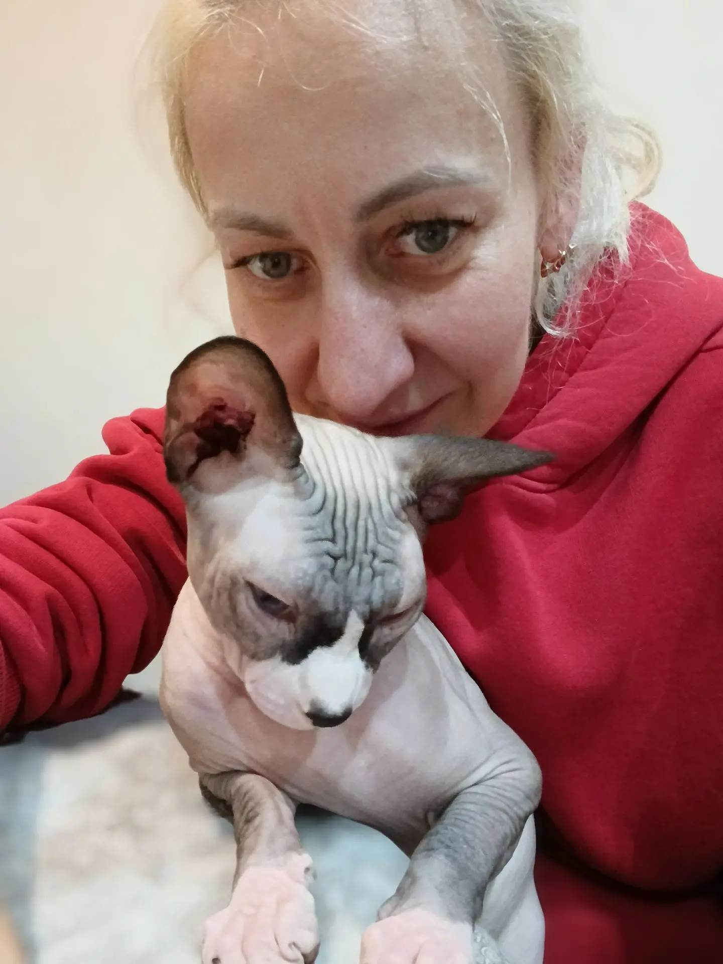 Привет от Осика 😺