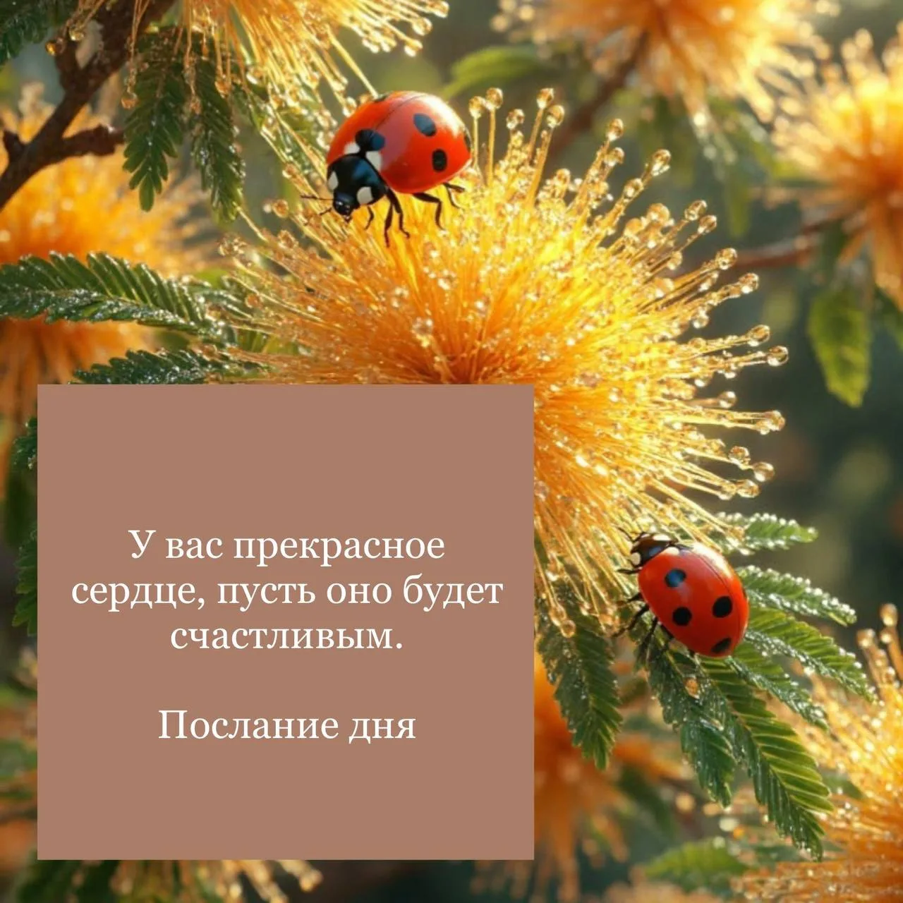Послание дня