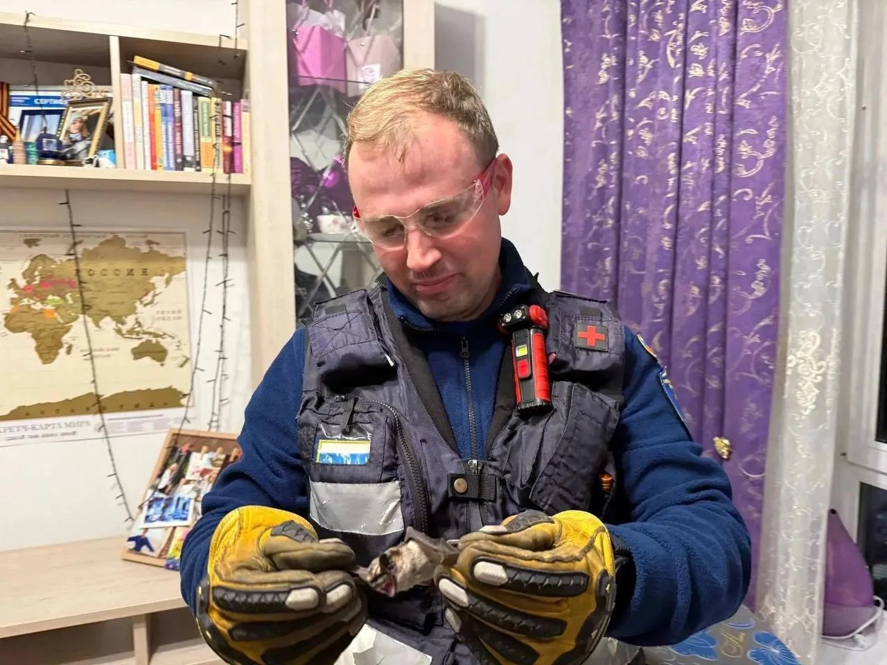 Под Одинцово летучая мышь залетела в квартиру в поисках места для зимовки. Жильцы не см...