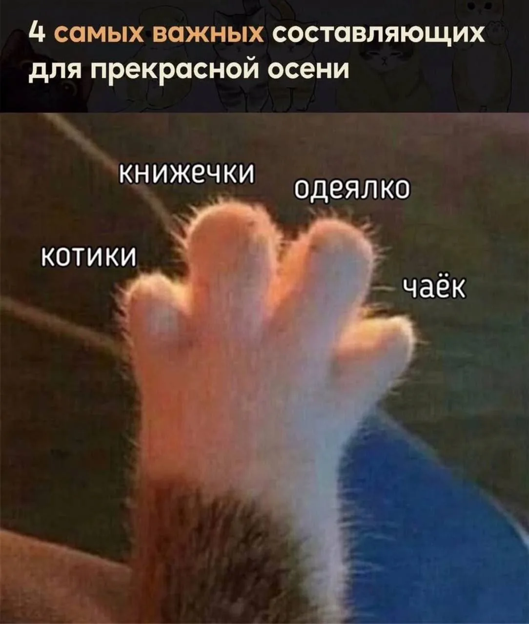 Prosto напоминание