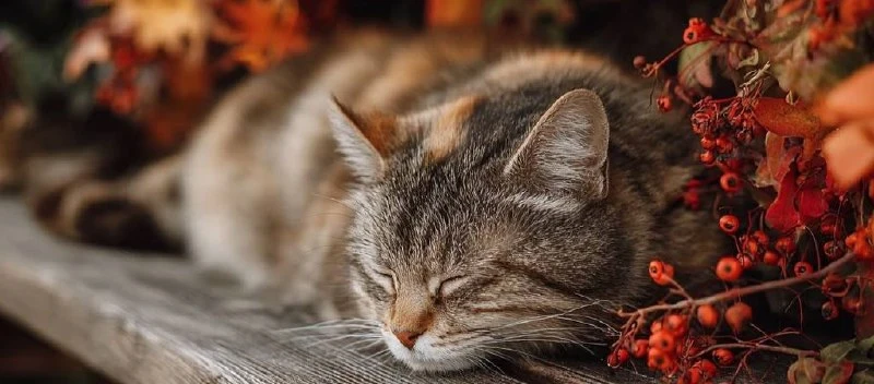 🍂  Доброе утро, любимый район!