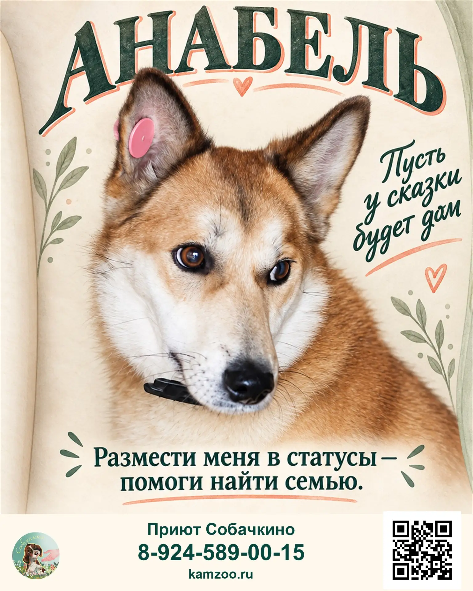 Анабель ищет дом. ❤️