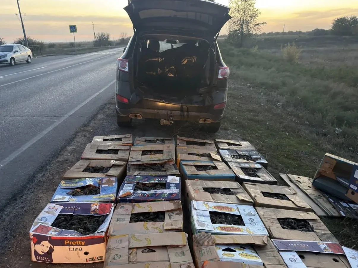 В Приволжском районе госавтоинспекторы пресекли незаконную перевозку 450 кг раков