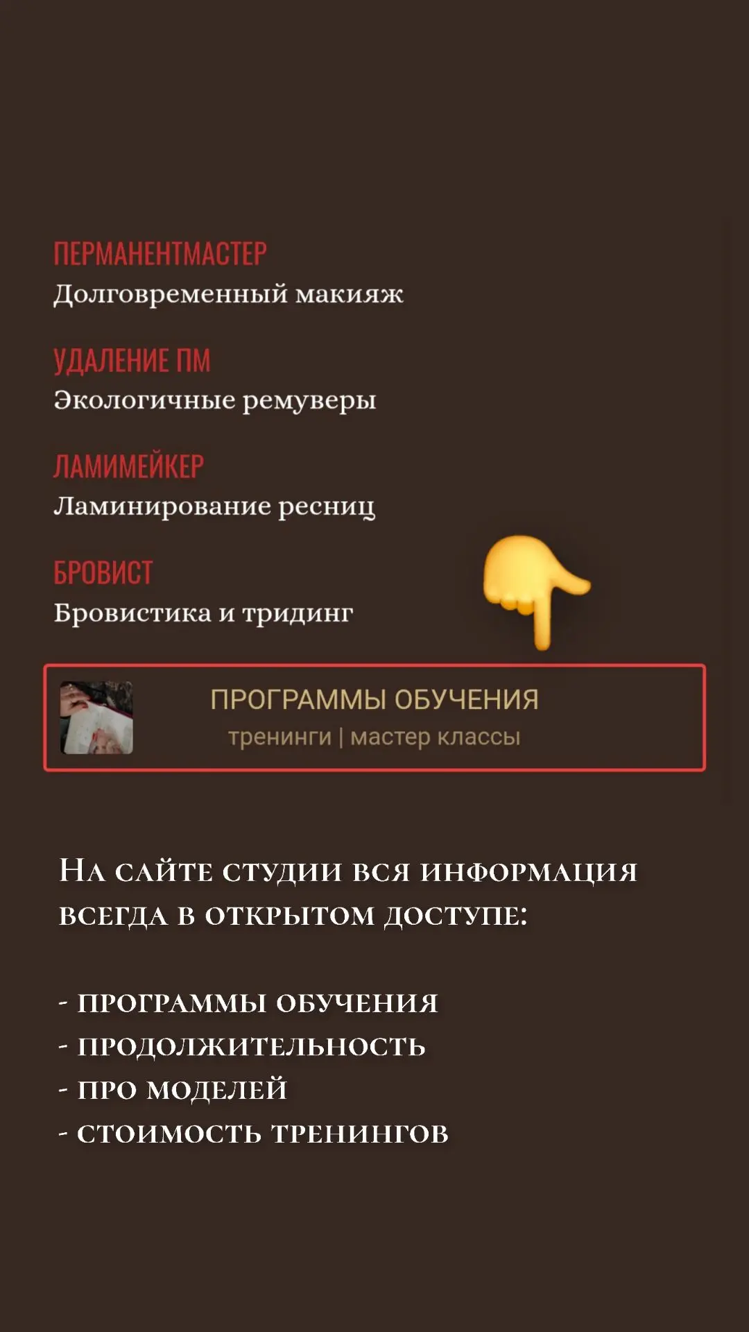 Мастер Бровист обучение