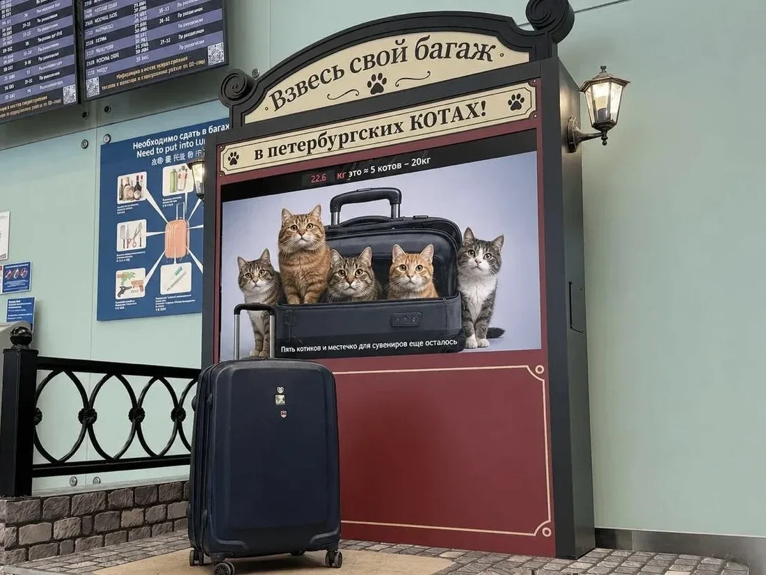 В Пулково багаж теперь взвешивают в котиках