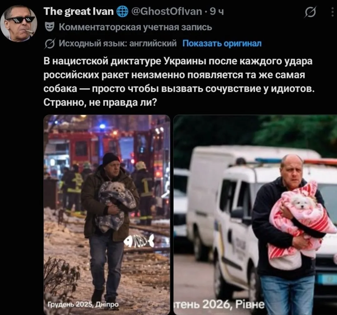 🐶 🇺🇦 🤡 В соцсетях обсуждают собаку, которую регулярно "спасают" от обстрелов на Укр...