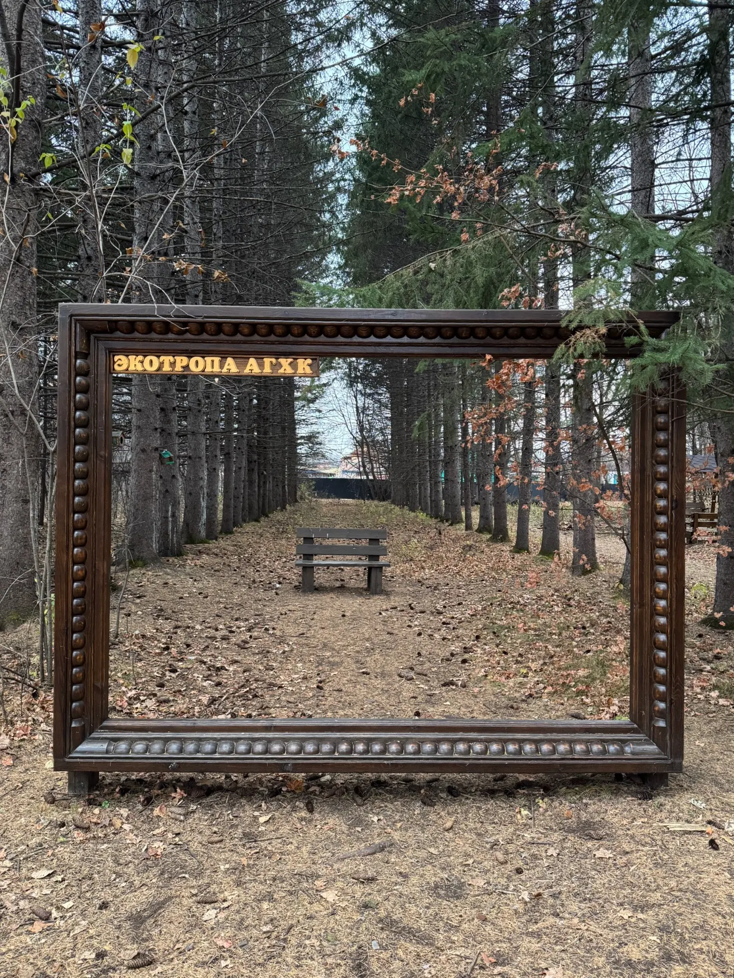 Погуляли по Экотропе 🌱