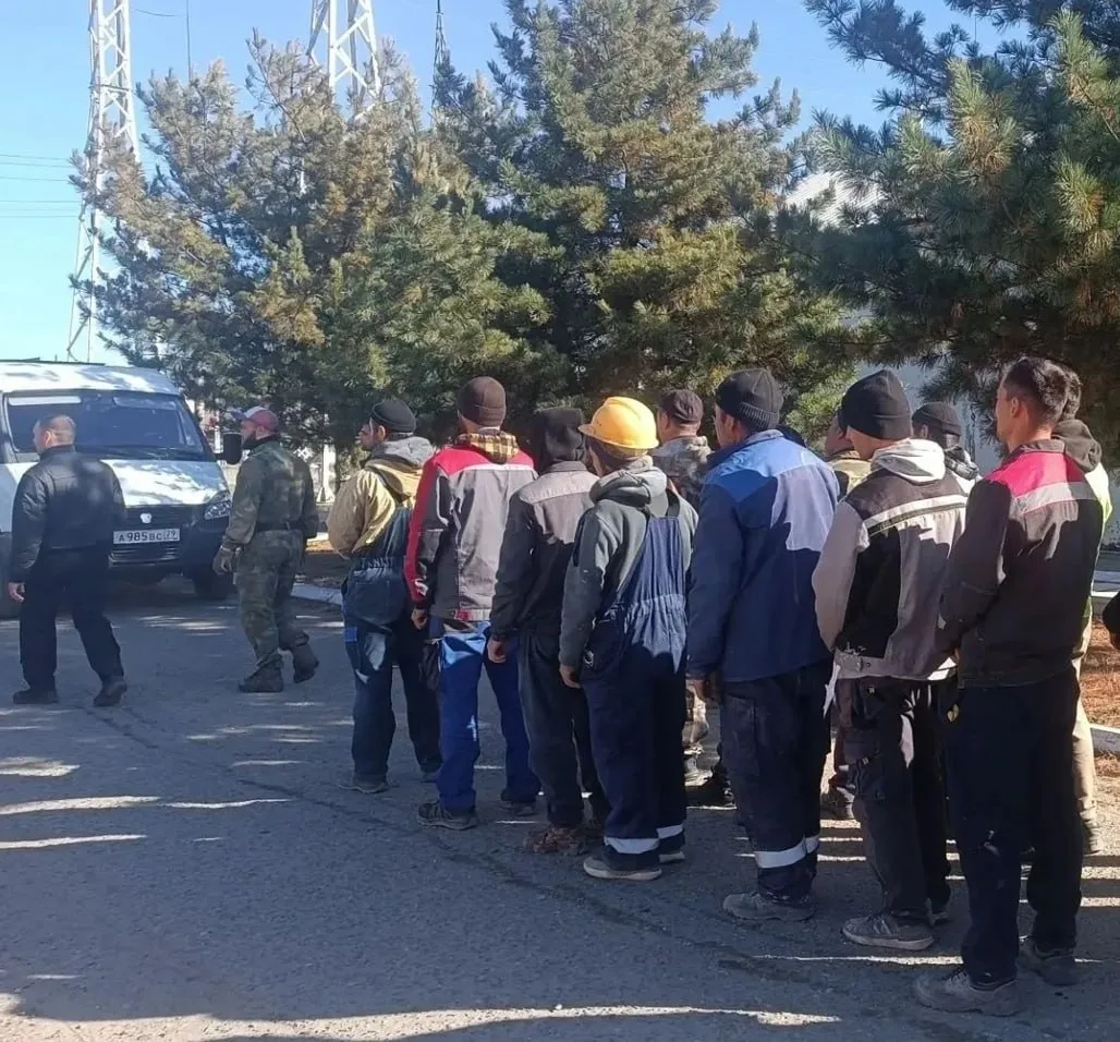 Приехал туристом, а сел за комбайн 🚜