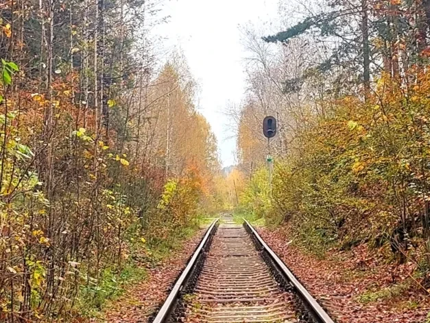 Ⓜ️ В Екатеринбурге на Широкой речке появится наземное метро и четыре новых дороги. Желе...