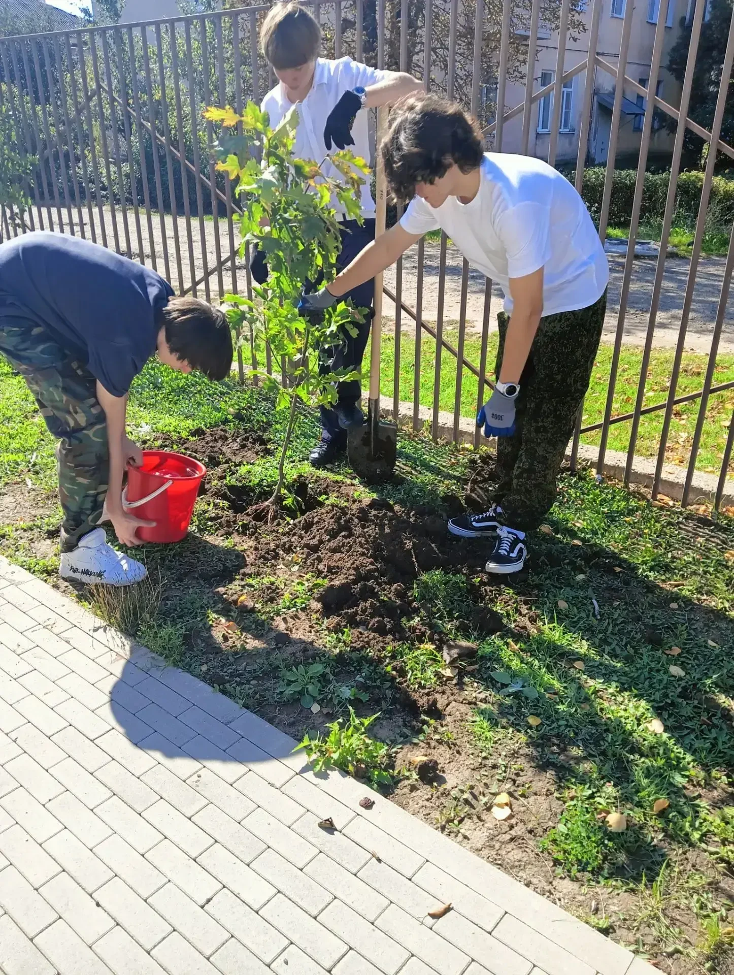 🌳 Школа № 20 передала школе № 2 Гулькевичей 40 саженцев деревьев