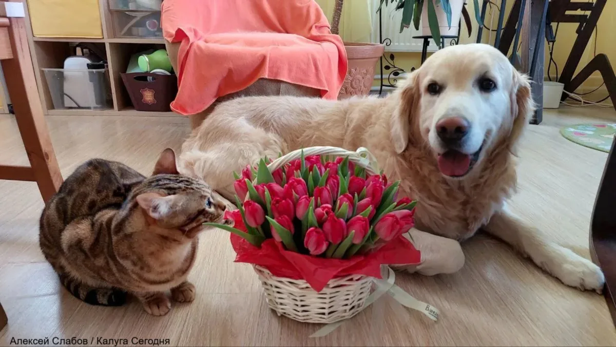 Начинаем день с красоты и тёплых мыслей❤️