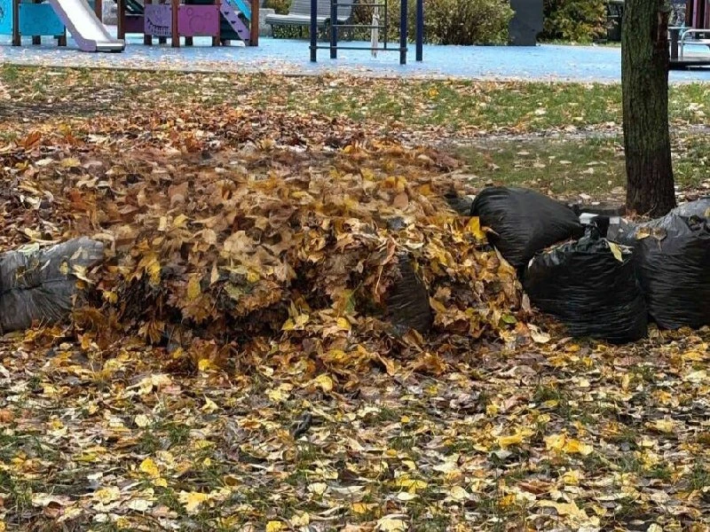 🧹 В Марьино жители жалуются на неубранный двор