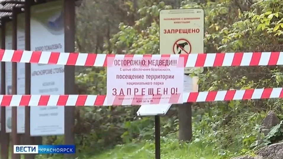 Запрет на посещение Столбов продлили до 10 ноября
