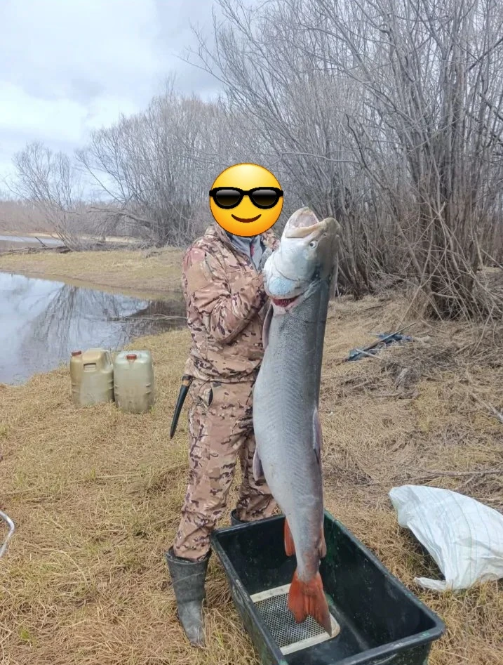Хабаровский край