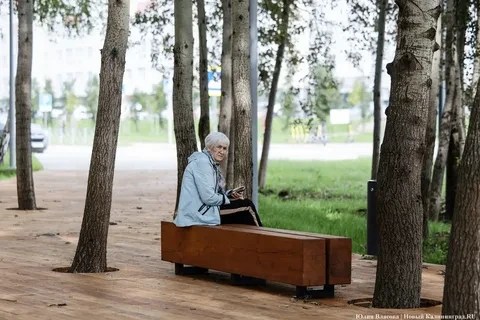🌳 Сквер Подводников в Калининграде: где находится новый сквер и что в нём появилось