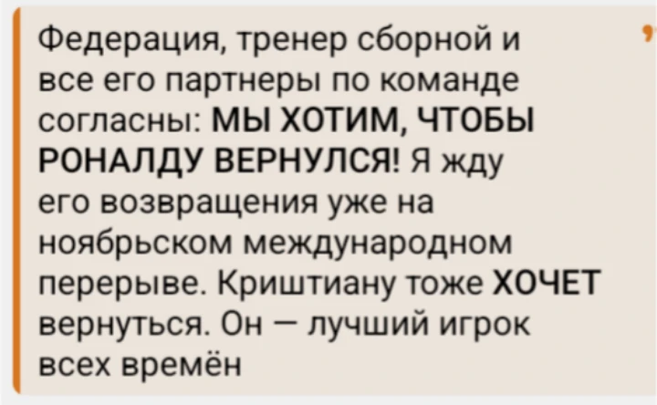 Слова президента Португальской федерации футбола.
