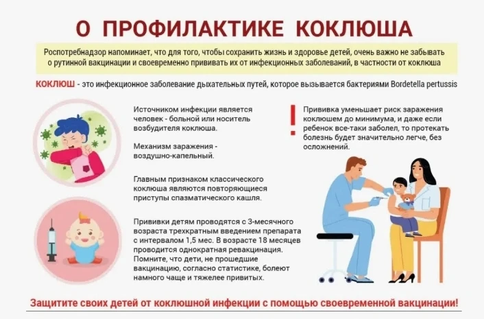 🦠 Коклюш: что нужно знать, чтобы защитить себя и близких