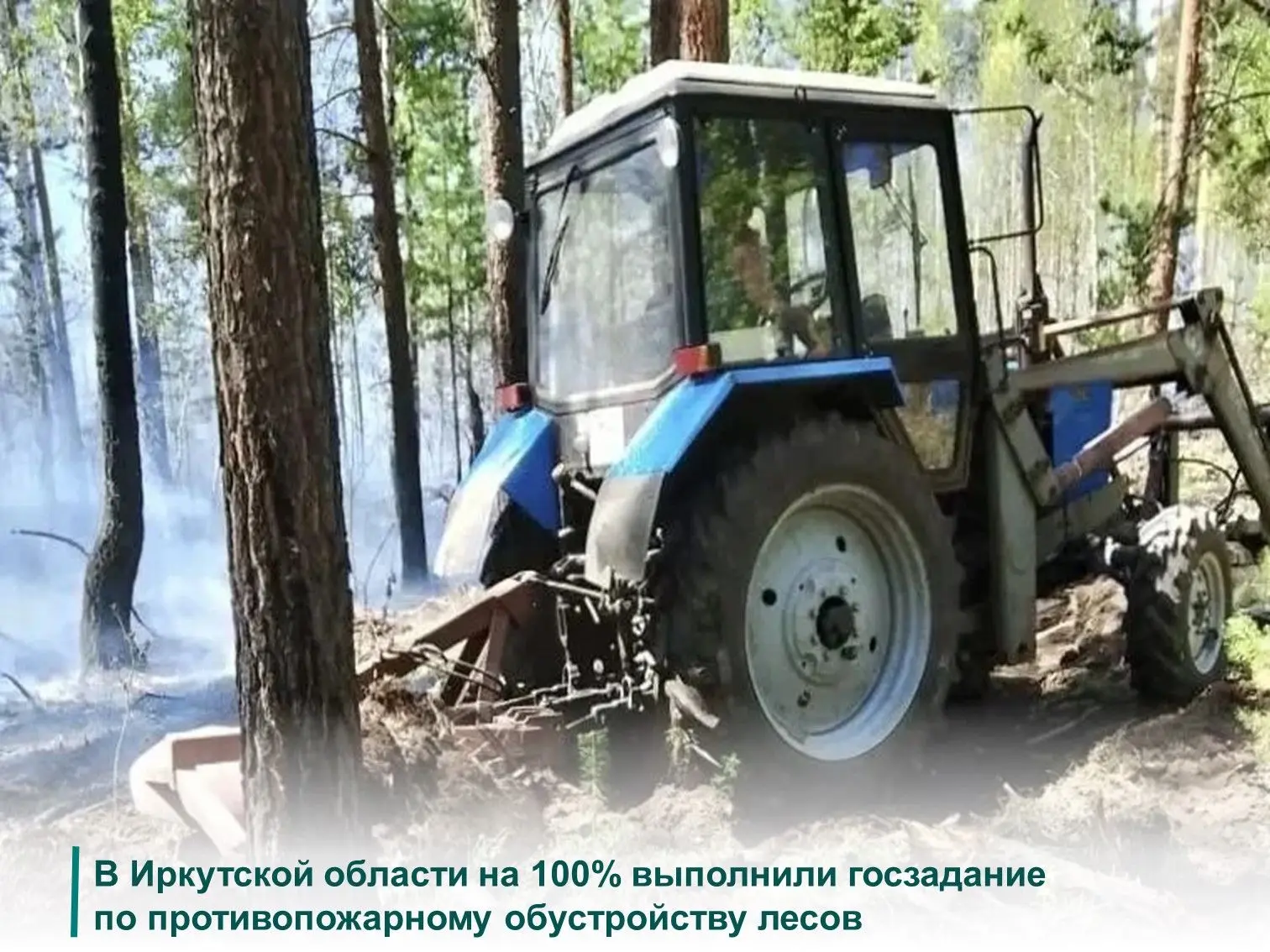 ☝Мероприятия по противопожарному обустройству лесов, предусмотренные государственным за...