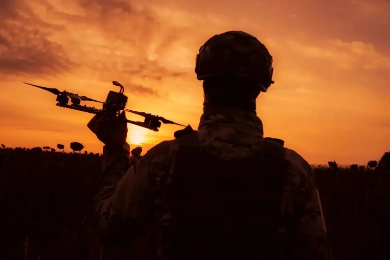 Жар-птица в руках. Сквозь ночь – к своей цели 🌅